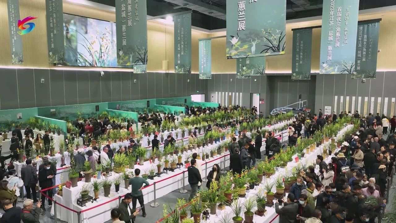 首屆長三角蕙蘭展暨2023年江蘇省（鹽城）蕙蘭展在鹽城鹽龍?bào)w育公園成功舉辦