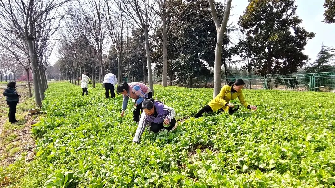 赴春日之約 贊巾幗芳華——蘇體實業(yè)公司工會組織開展慶?!叭恕眹H勞動婦女節(jié)系列活動